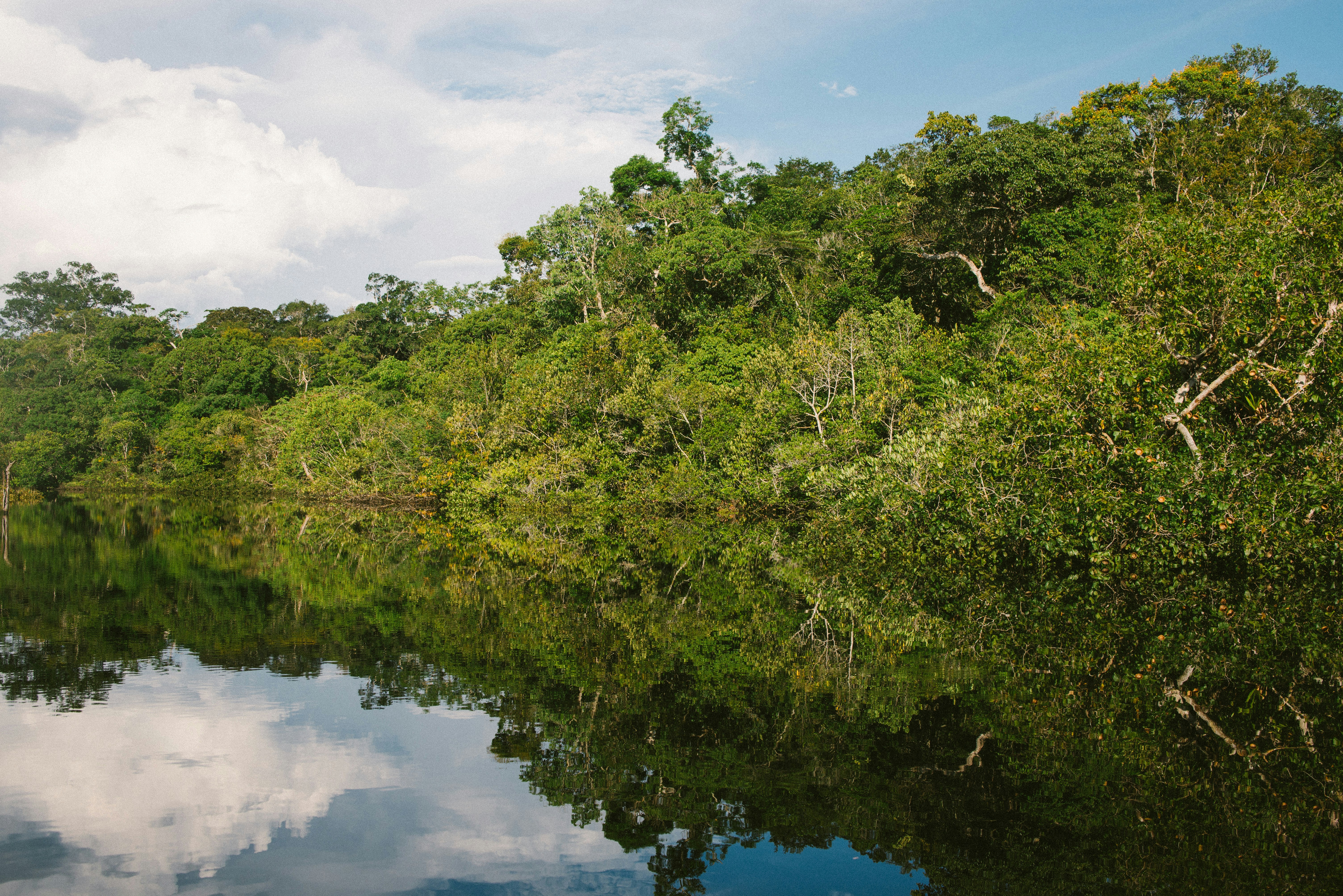 Mesa-redonda e palestra discutirão projetos ecológicos, experiências profissionais e fauna na Amazônia